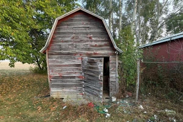 Demolition: Shed & Structure Demo before