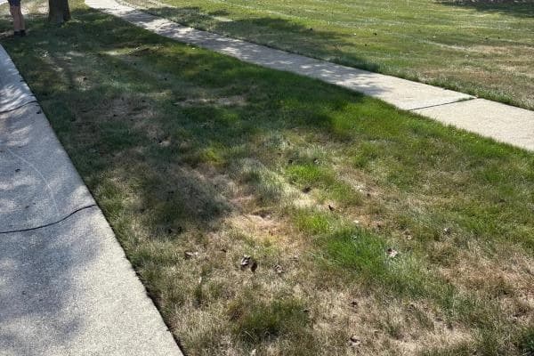 Curbside Pickup: Curbside Haul-Away after
