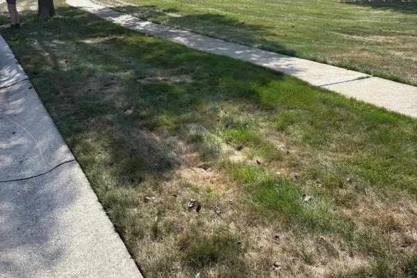 Clean curb after a Power House curbside junk pickup in Toledo, OH